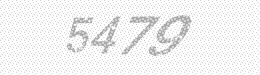 Visual security code — type the characters shown in the image