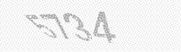 Visual security code — type the characters shown in the image